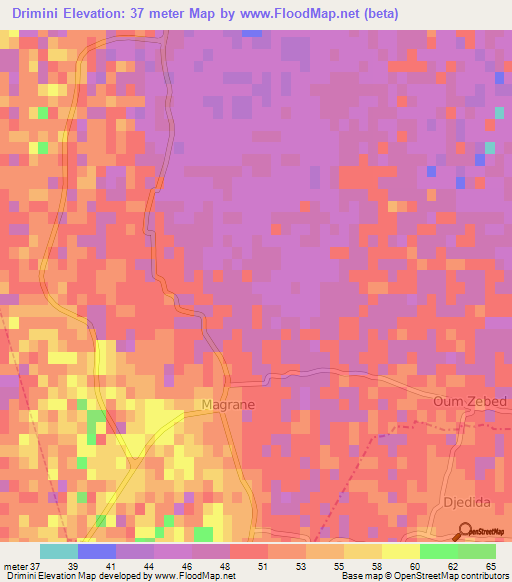 Drimini,Algeria Elevation Map