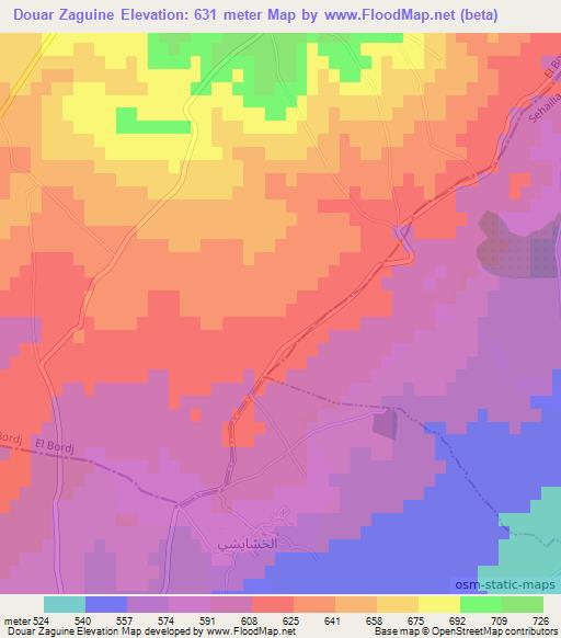 Douar Zaguine,Algeria Elevation Map