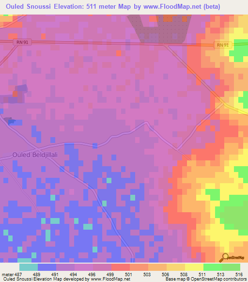 Ouled Snoussi,Algeria Elevation Map