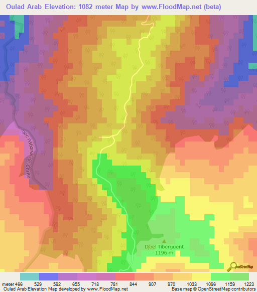 Oulad Arab,Algeria Elevation Map