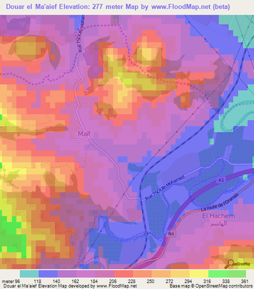 Douar el Ma'aief,Algeria Elevation Map