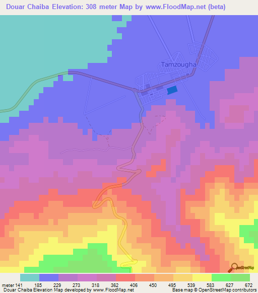 Douar Chaiba,Algeria Elevation Map