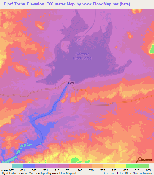 Djorf Torba,Algeria Elevation Map