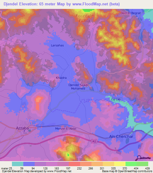 Djendel,Algeria Elevation Map