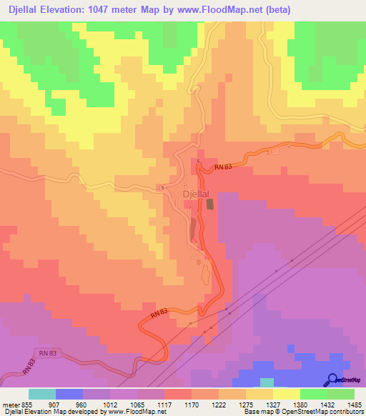 Djellal,Algeria Elevation Map