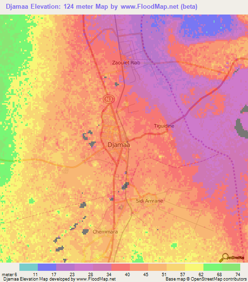 Djamaa,Algeria Elevation Map