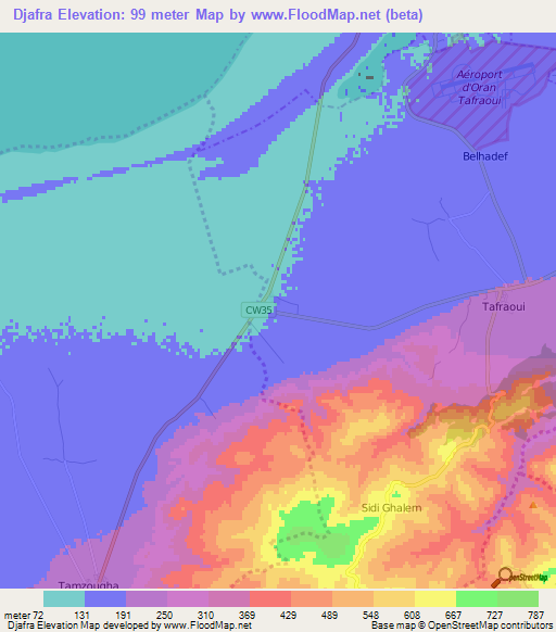 Djafra,Algeria Elevation Map