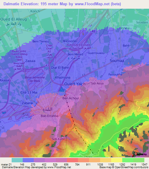 Dalmatie,Algeria Elevation Map