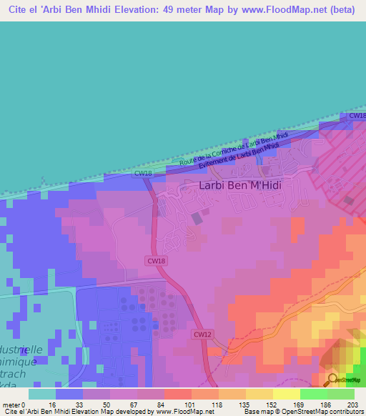 Cite el 'Arbi Ben Mhidi,Algeria Elevation Map
