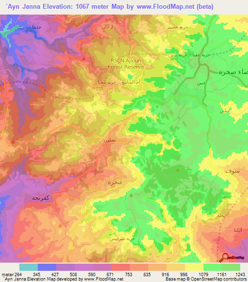 `Ayn Janna,Jordan Elevation Map