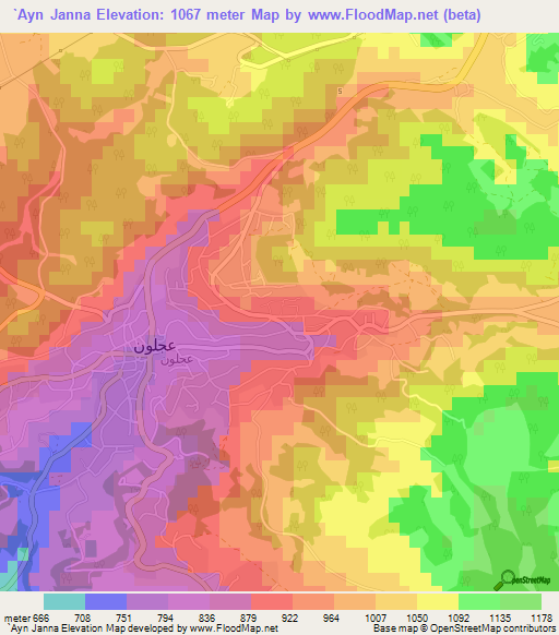 `Ayn Janna,Jordan Elevation Map