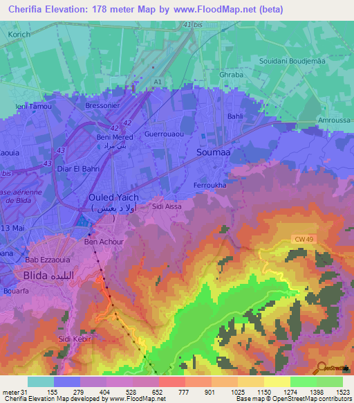 Cherifia,Algeria Elevation Map