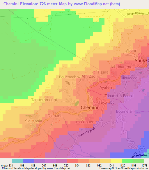 Chemini,Algeria Elevation Map