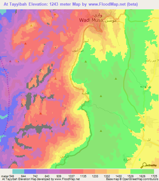 At Tayyibah,Jordan Elevation Map