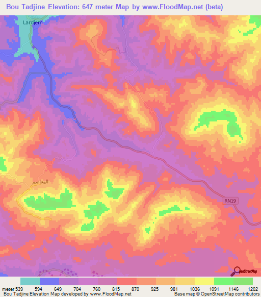 Bou Tadjine,Algeria Elevation Map