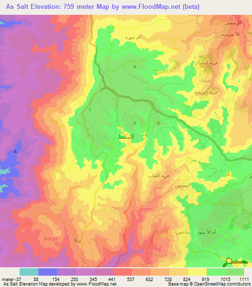 As Salt,Jordan Elevation Map