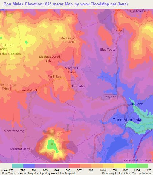 Bou Malek,Algeria Elevation Map