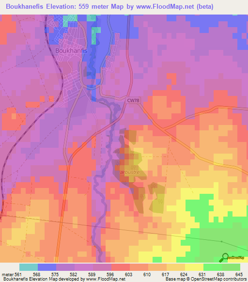 Boukhanefis,Algeria Elevation Map