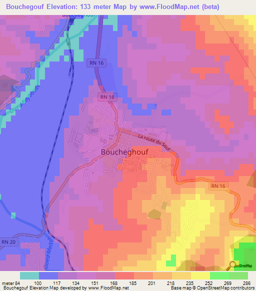 Bouchegouf,Algeria Elevation Map