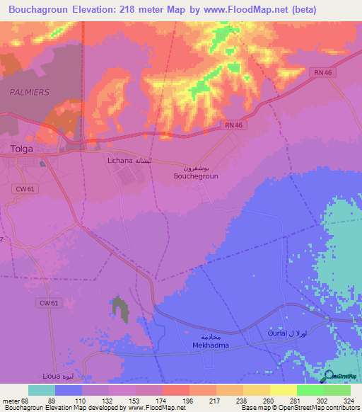 Bouchagroun,Algeria Elevation Map