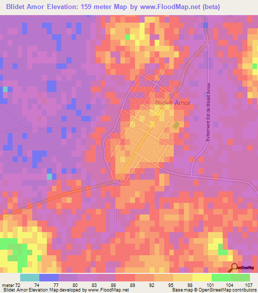 Blidet Amor,Algeria Elevation Map