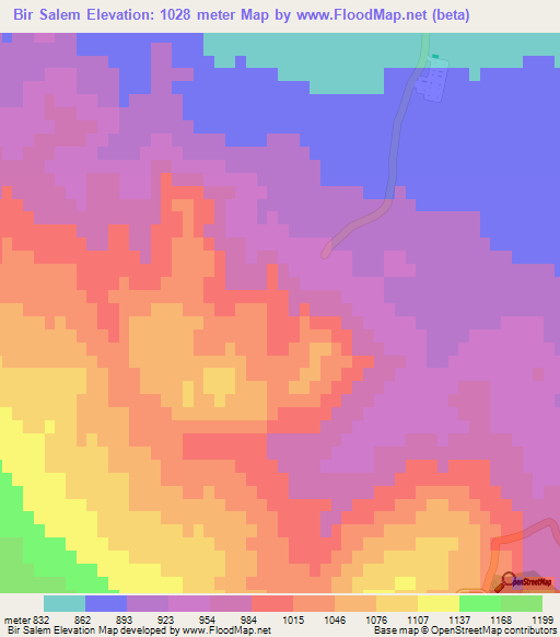 Bir Salem,Algeria Elevation Map