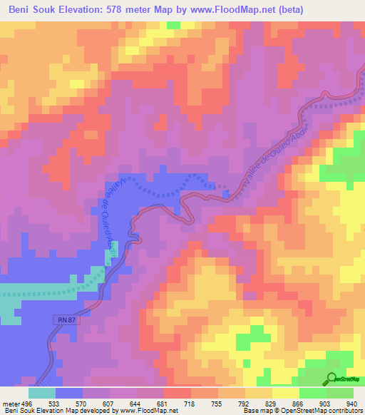 Beni Souk,Algeria Elevation Map