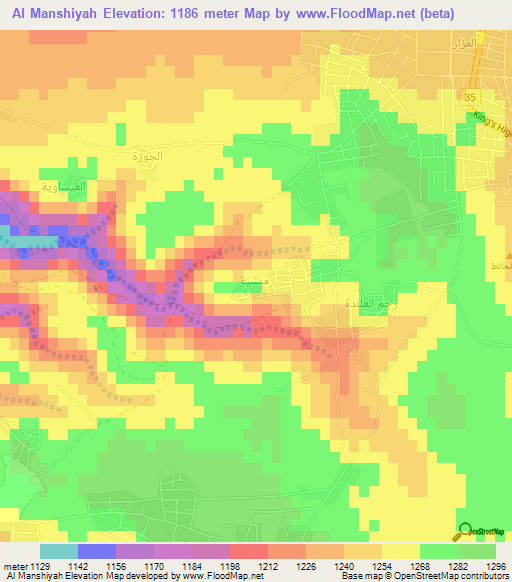 Al Manshiyah,Jordan Elevation Map