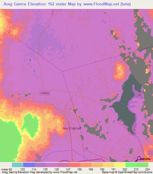 Areg Gamra,Algeria Elevation Map