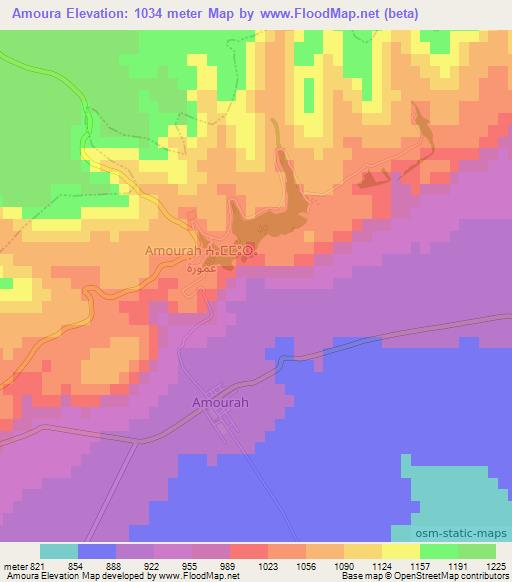 Amoura,Algeria Elevation Map