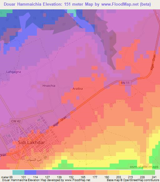 Douar Hammaichia,Algeria Elevation Map