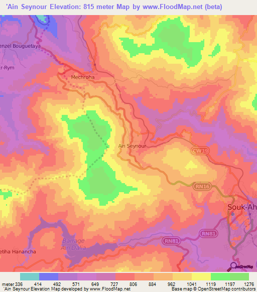 'Ain Seynour,Algeria Elevation Map