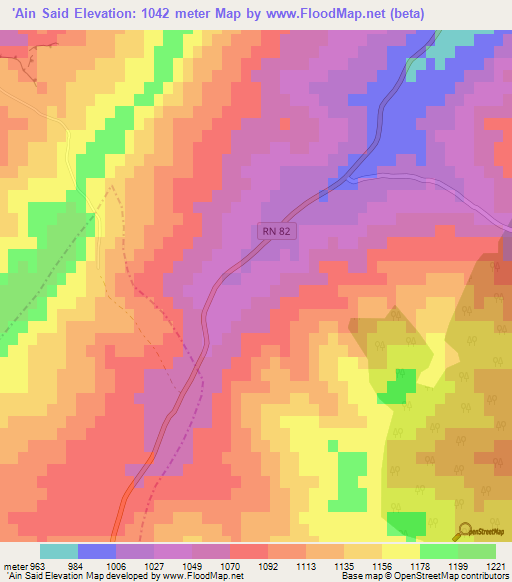 'Ain Said,Algeria Elevation Map