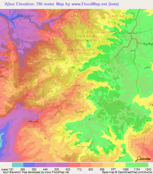 `Ajlun,Jordan Elevation Map