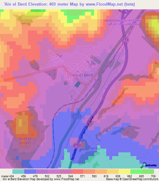 'Ain el Berd,Algeria Elevation Map