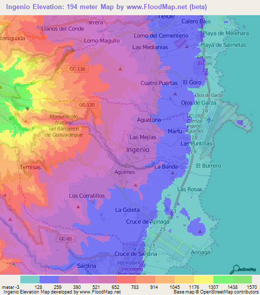 Ingenio,Spain Elevation Map
