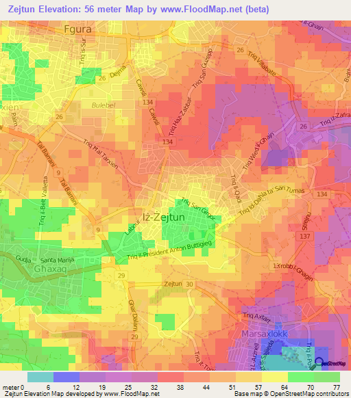 Zejtun,Malta Elevation Map