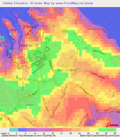 Zabbar,Malta Elevation Map
