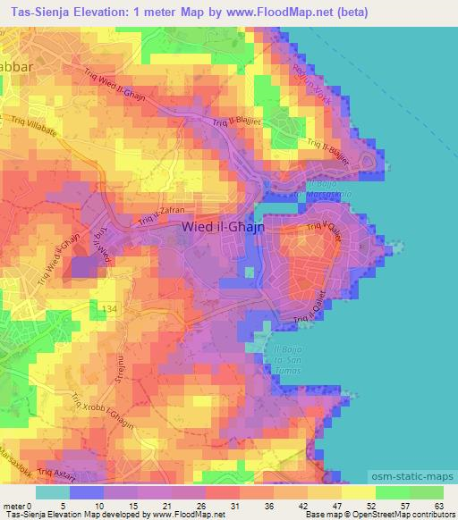 Tas-Sienja,Malta Elevation Map