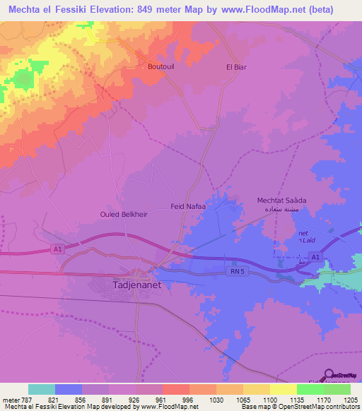 Mechta el Fessiki,Algeria Elevation Map
