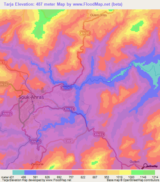 Tarja,Algeria Elevation Map