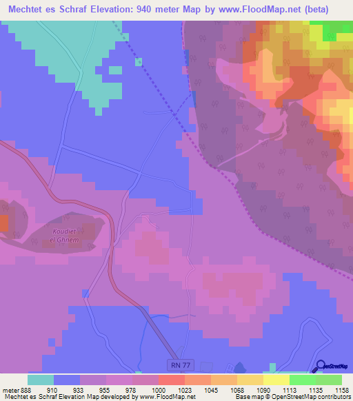 Mechtet es Schraf,Algeria Elevation Map