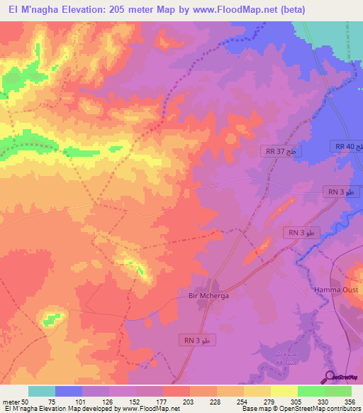El M'nagha,Tunisia Elevation Map