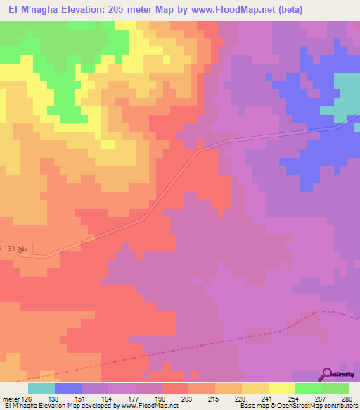 El M'nagha,Tunisia Elevation Map
