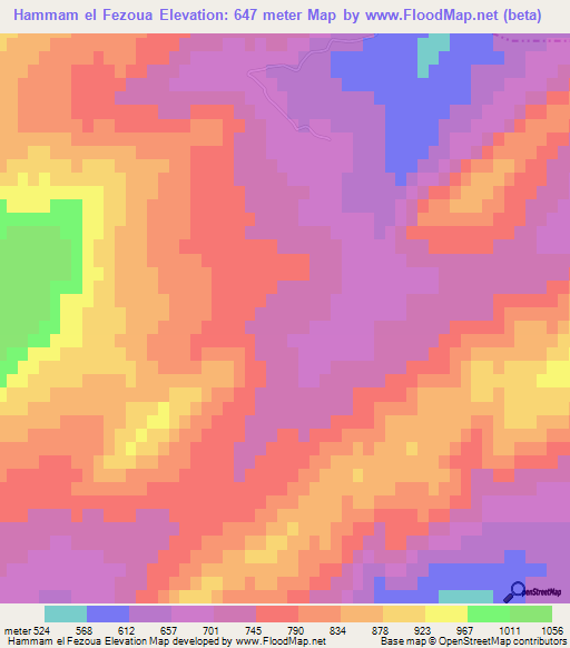 Hammam el Fezoua,Tunisia Elevation Map