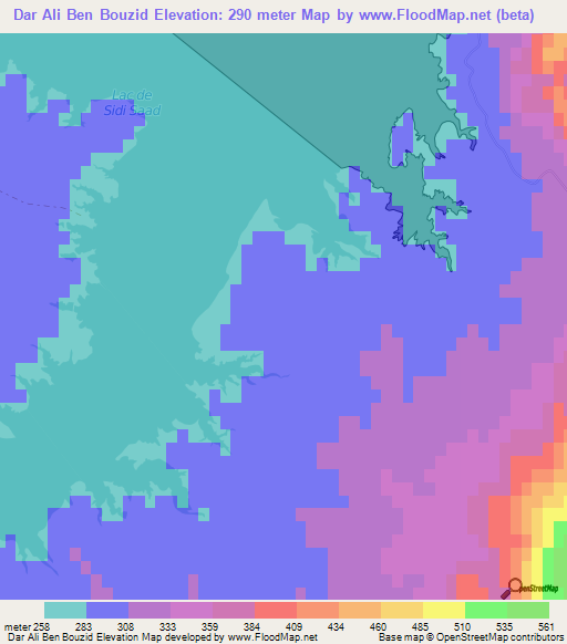 Dar Ali Ben Bouzid,Tunisia Elevation Map