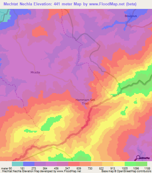 Mechtat Nechla,Algeria Elevation Map