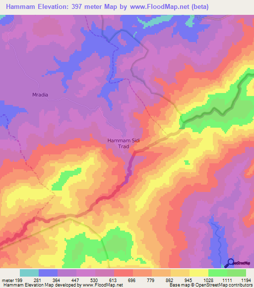 Hammam,Algeria Elevation Map