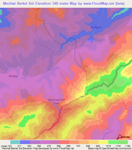 Mechtat Berket Sid,Algeria Elevation Map