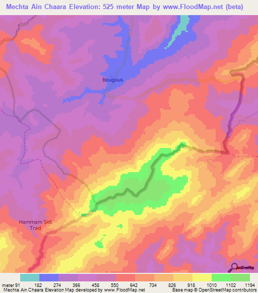 Mechta Ain Chaara,Algeria Elevation Map